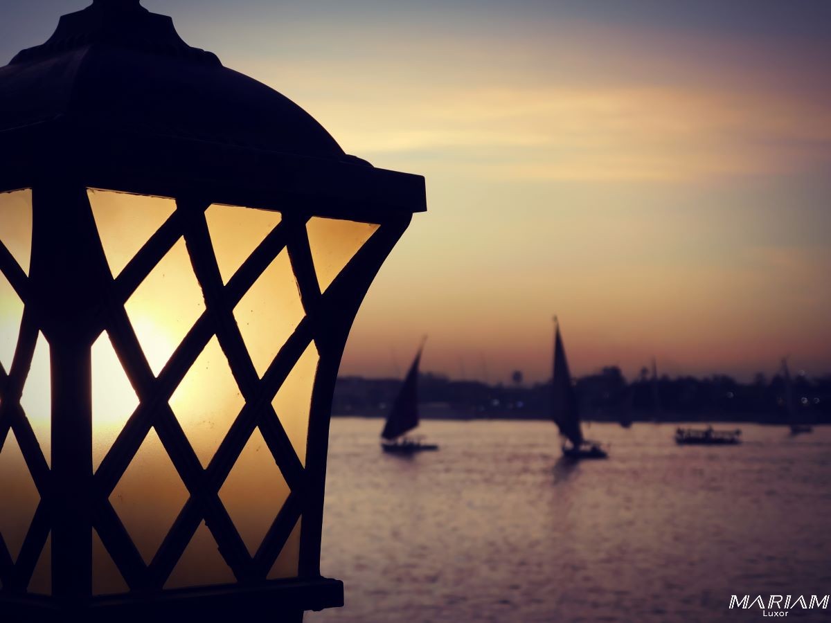 fêtes de fin d'année en Egypte : guide comparatif