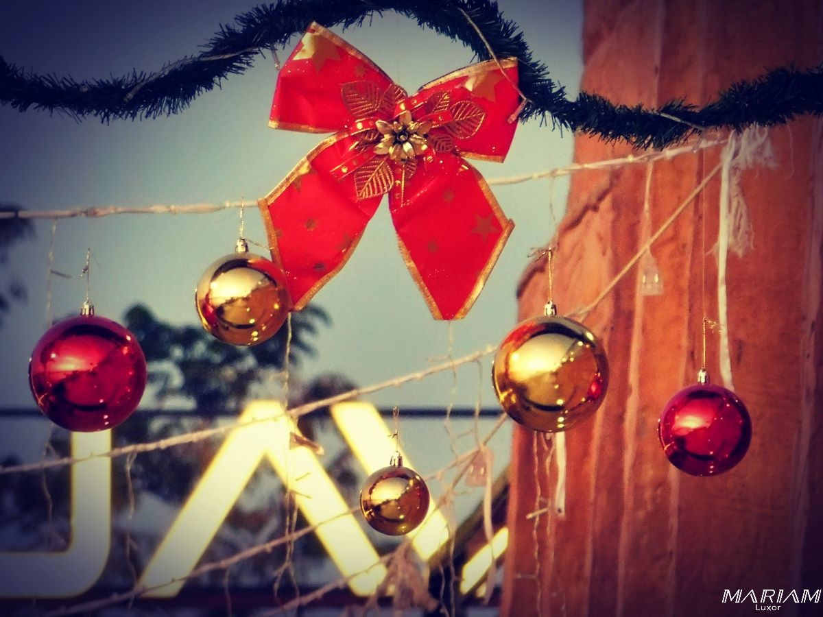 fêtes de fin d'année en Egypte : inconvénients et avantages