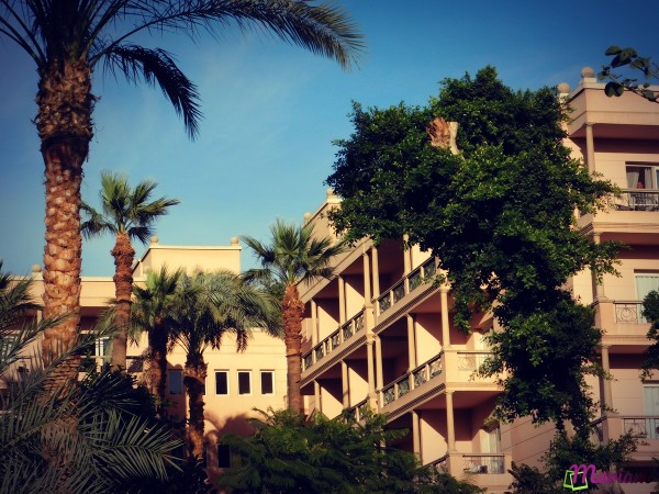 Vue du Pavillon Winter Palace, annexe abordable située dans les jardins du palace historique à Louxor, offrant un accès économique aux mêmes prestations