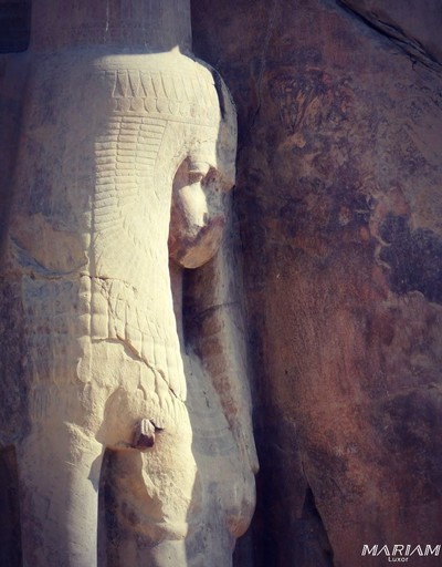 La grande épouse royale d'Amenophis III, Tiyi