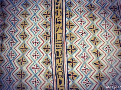 visiter les vallée des nobles : tombe de Sennefer TT96