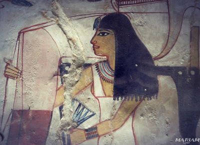 visiter les vallée des nobles : tombe de Sennefer TT96