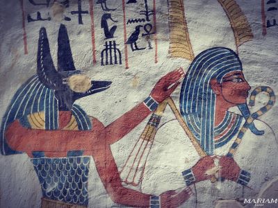 visiter les vallée des nobles : tombe de Sennefer TT96