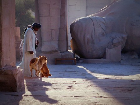 visiter le Ramesseum : temple de Ramsès II à Louxor