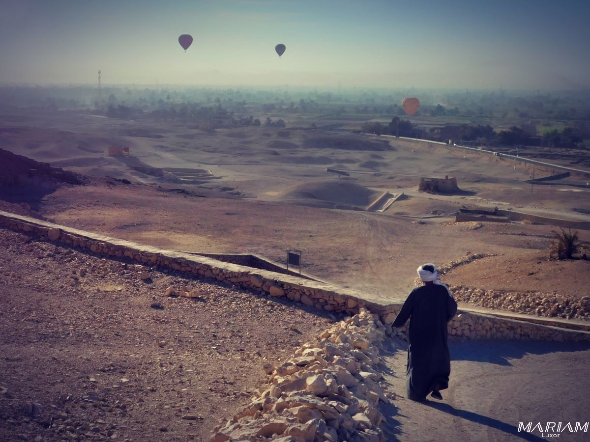 visiter les vallée des nobles : tombe de Sennefer TT96
