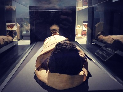 que voir au musée de Louxor : momies royales