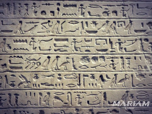 que voir au musée de Louxor : stèle de Kamosis