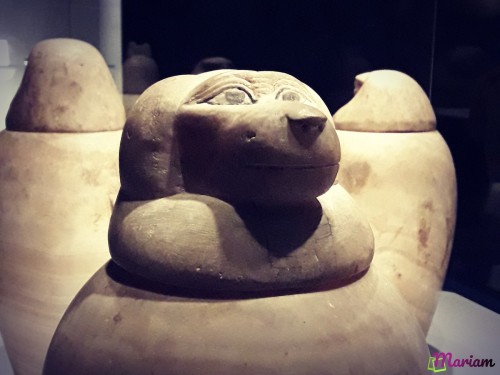vases canopes exposés au musée de la momification de Louxor