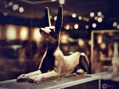 visiter le musée de la momification à Louxor : Anubis