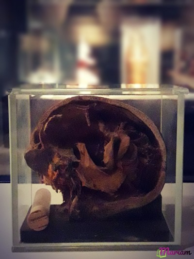 visiter le musée de la momification à Louxor : techniques d'embaumement