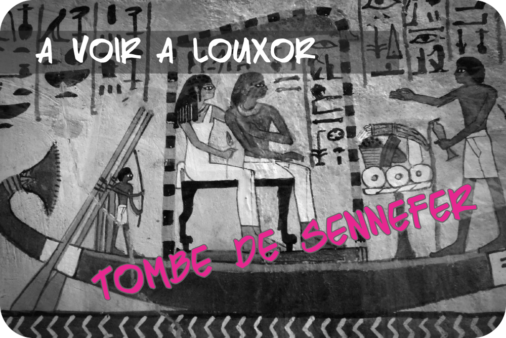 Visite de la Tombe aux Vignes de Sennefer, Perle de la Vallée des&nbsp;Nobles