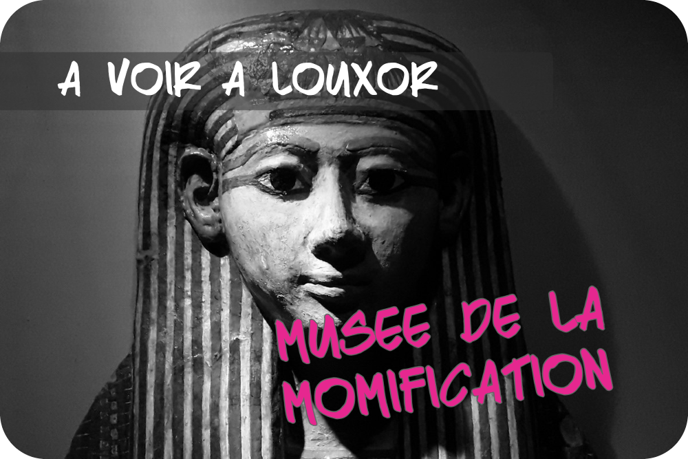 Le musée de la momification à Louxor : à ne pas manquer !