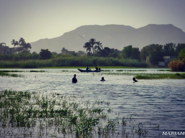 excursion balade en felouque sur le nil à Louxor au coucher du soleil