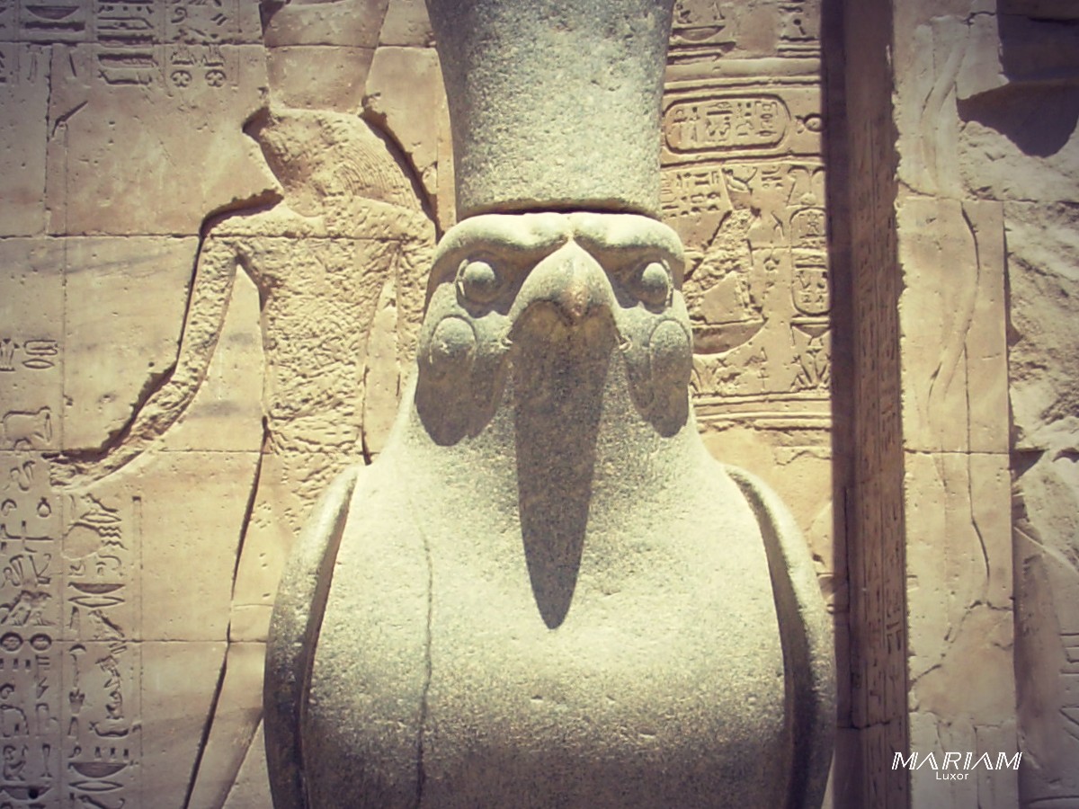 excursions 1 journée au départ de louxor : edfou