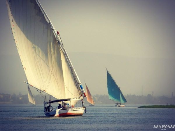 excursion balade en felouque sur le nil à Louxor au coucher du soleil