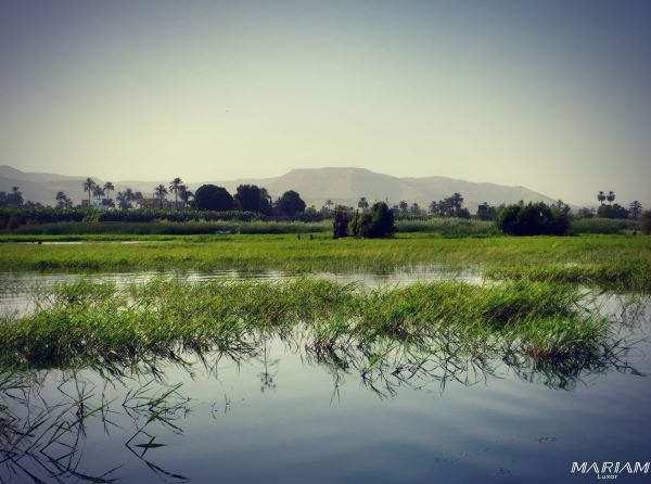 excursion balade en felouque sur le nil à Louxor au coucher du soleil 8