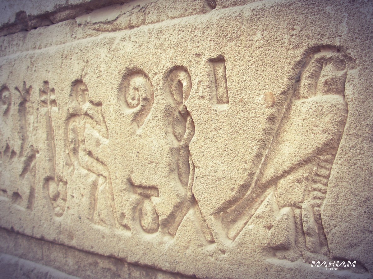 excursions 1 journée au départ de louxor : temple d'Horus à edfou