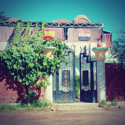 où manger à Louxor Rive Ouest : le Wolf