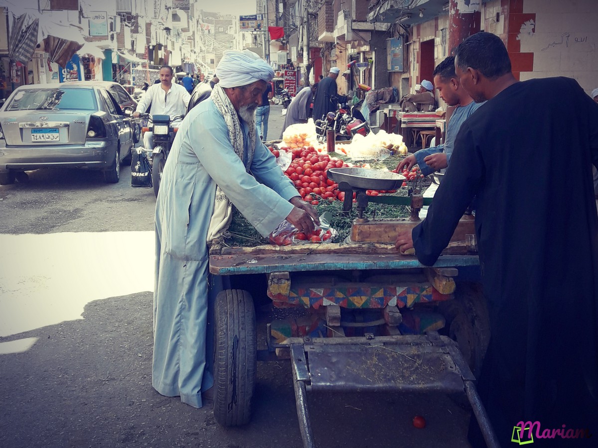 Découvrez Louxor à votre rythme avec nos balades personnalisées