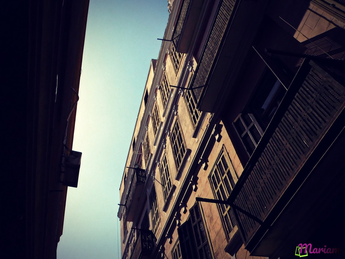 Découvrez la ville de Louxor à pied : randos et balades