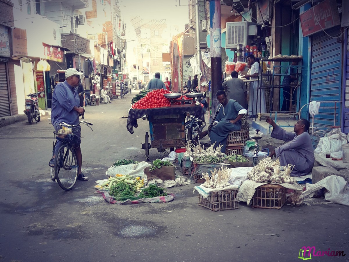Découvrez la ville de Louxor à pied : randonnées et balades
