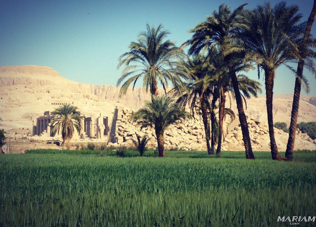 Découvrez la vie locale et la campagne égyptienne: rando et balades à Louxor