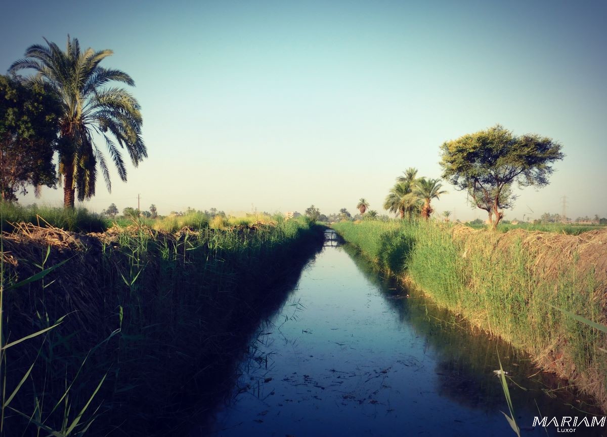 randonnées et balades à travers les villages et la campagne égyptienne à Louxor
