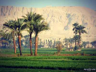 excursions sur mesure avec alfriend Voyage Louxor : Ramesseum Rive ouest Louxor