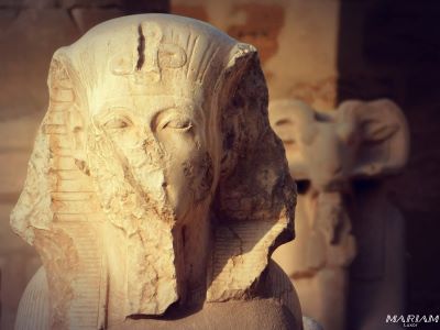 excursions sur mesure rive est Louxor : temple de Karnak