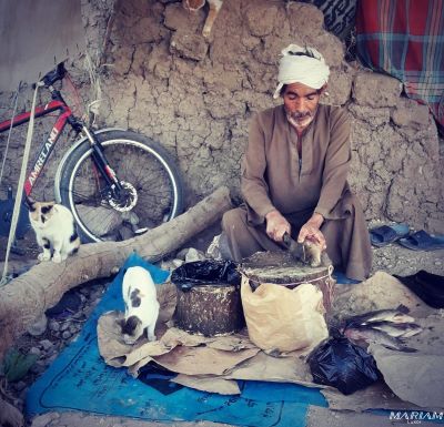 balades découverte à Louxor : vie locale et marchés locaux