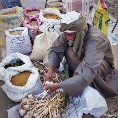 balades découvertes à Louxor : vie locale et marchés locaux hebdomadaires