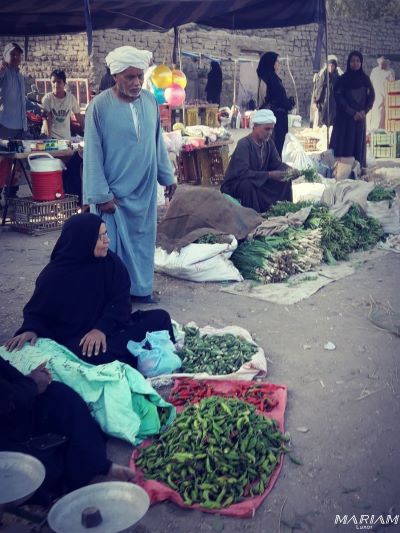 balades découvertes ville louxor : vie locale et marchés locaux