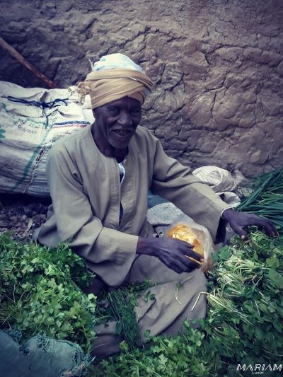 balades découvertes à Louxor : vie locale et marchés hebdomadaires locaux