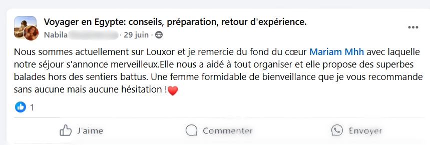 avis agence de voyage alfriend louxor avril