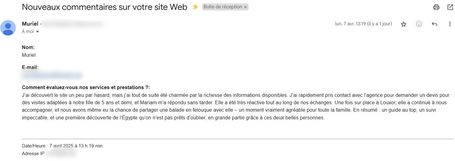 avis retour clients agence alfriend voyage Louxor