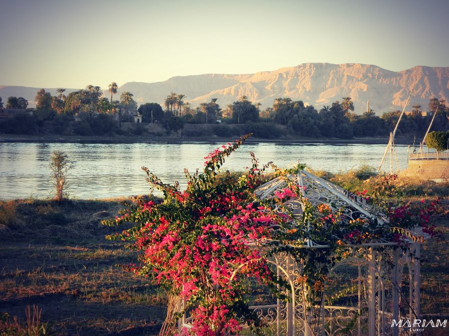 loger à louxor : quel hôtel ?