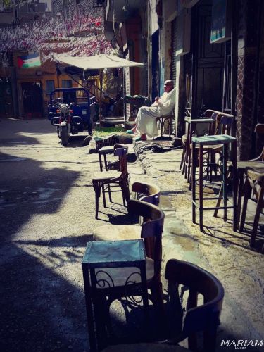 balade découverte ville de Louxor : vie locale