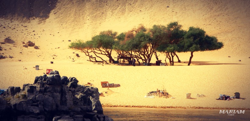 mini-croisière sur le Nil à Assouan à la découverte des îles et des sites archéologiques 