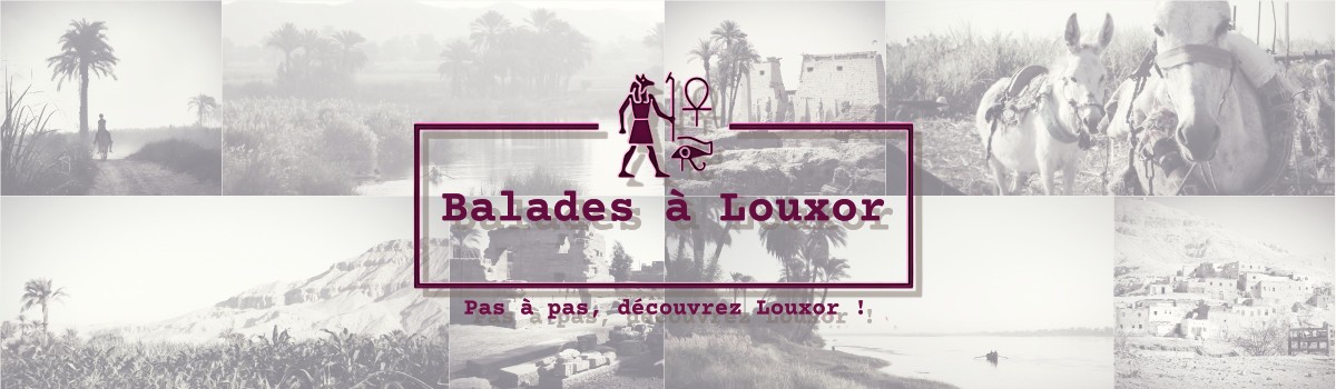 balades-a-louxor-decouverte-de-louxor