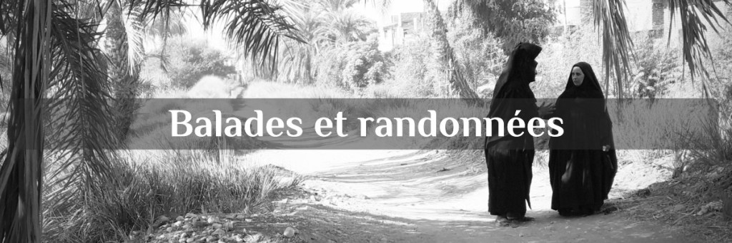 balades et randonnées à Louxor : exploration de la campagne et vie locale