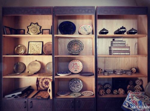 balades et randonnées à Louxor : découverte du village Hassan Fathi - projet écologique