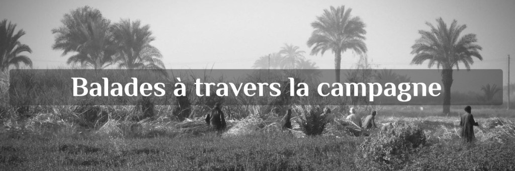 balades à travers les villages et la campagne à Louxor, Egypte