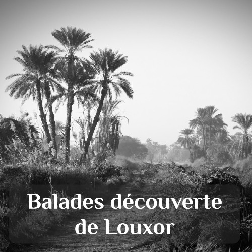 balades et randonnées à Louxor : découverte de la campagne égyptienne et des marchés locaux