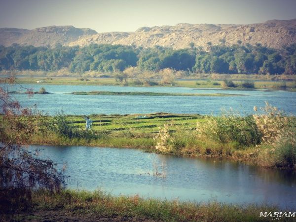 croisière sur le Nil en dahabeya : ile de Bassaw