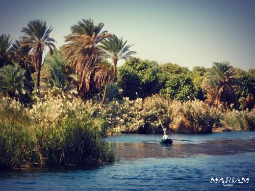 croisière sur le Nil en dahabeya