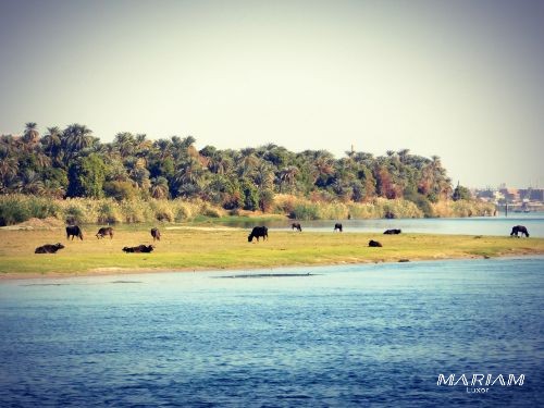 croisière sur le Nil en dahabeya - crosières privatives- 7 nuits
