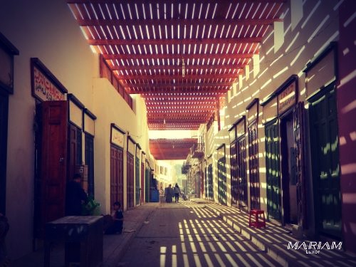 découverte Esna : excursion depuis Louxor : souq