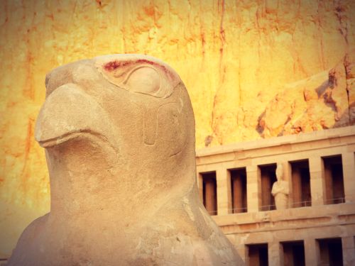 découverte approfondie de la Rive Ouest de Louxor : excursion 1 journée : temple d'Hatshepsout