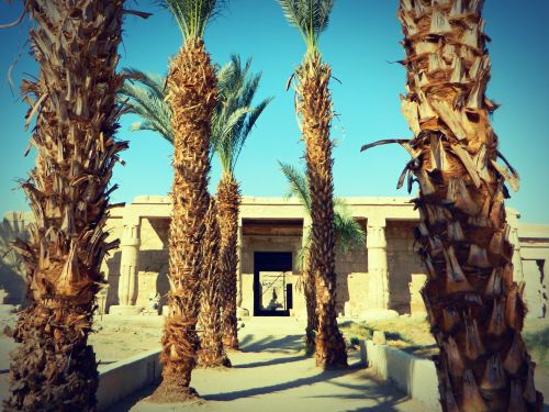 découverte approfondie de la Rive Ouest de Louxor : excursion 1 journée : Temple de Seti 1