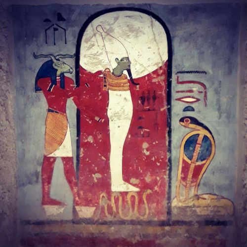 découverte approfondie de la Rive Ouest de Louxor : excursion 1 journée : Vallée des Rois